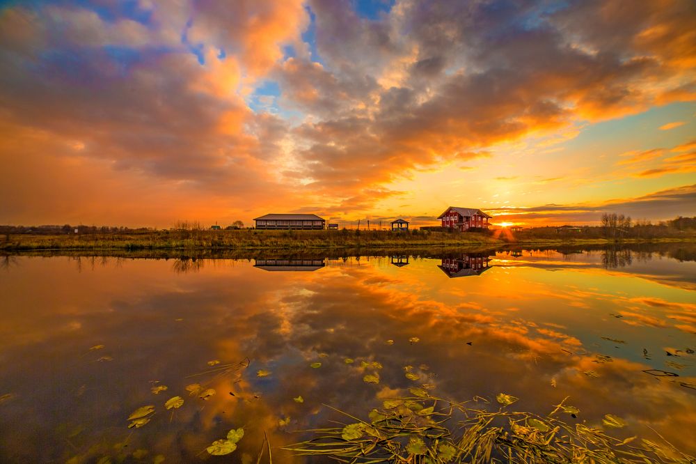 Photograph by Дмитрий Пасынков