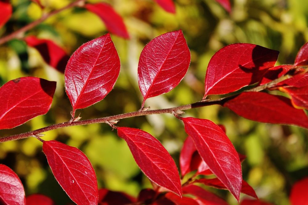 Photograph by Анна Восковых