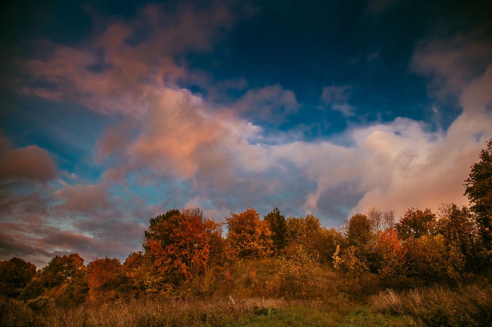 Photograph by Дмитрий Пасынков