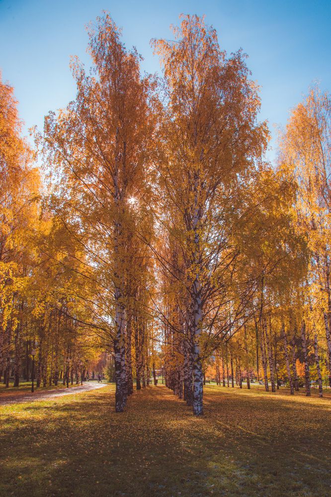 Photograph by Дмитрий Пасынков