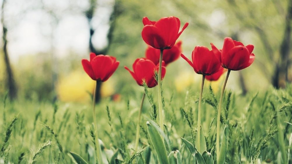 Photograph by Алёна Бондаренко