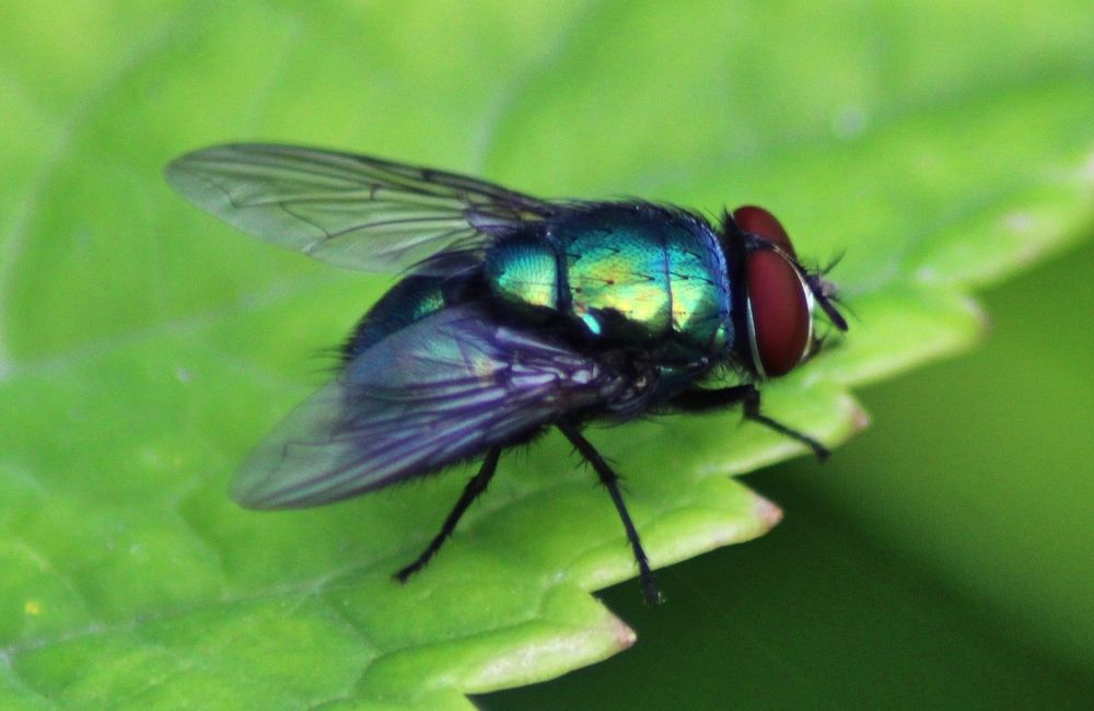 Photograph by Анна Восковых