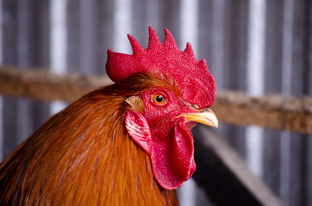 Photograph by Farkhad