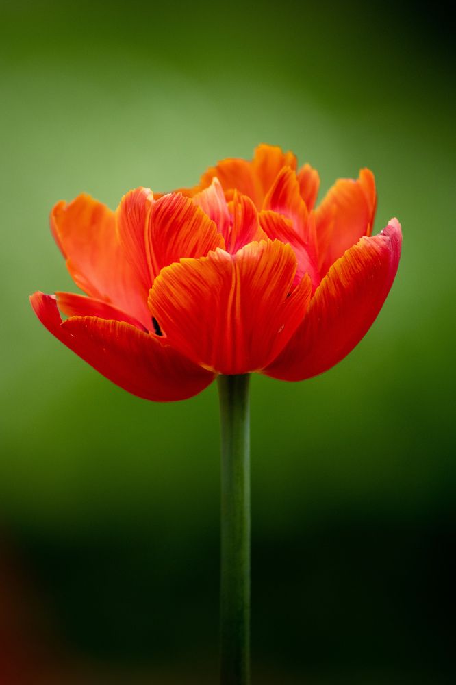 Фотография автора Котов Андрей