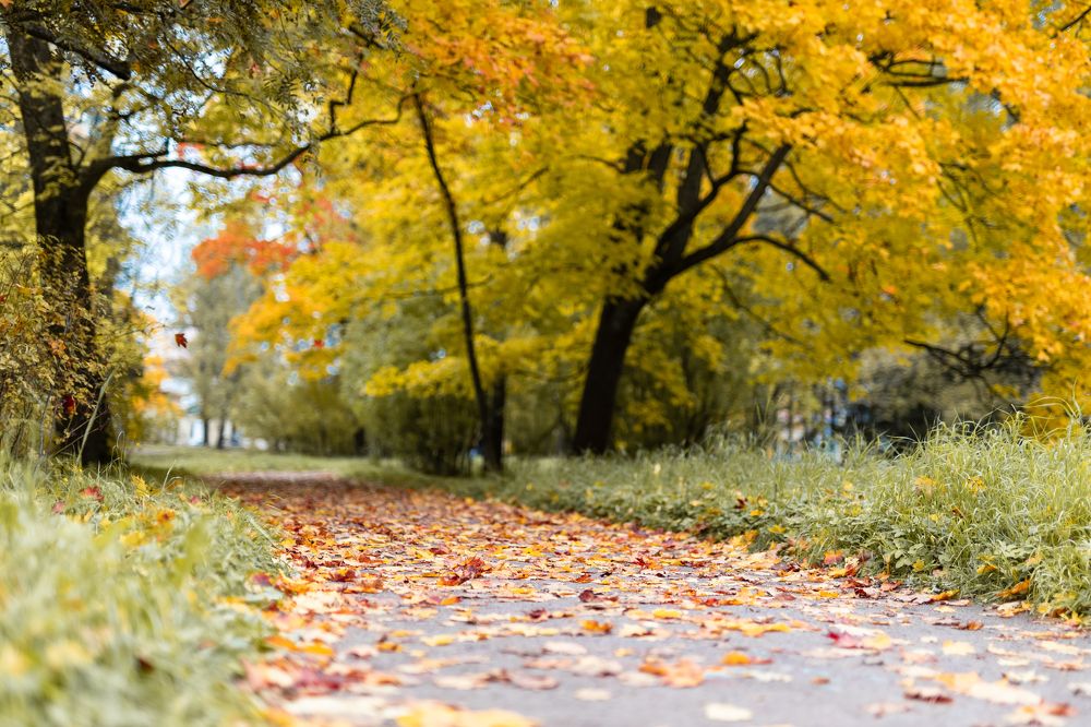 Photograph by Наталия Черкасова