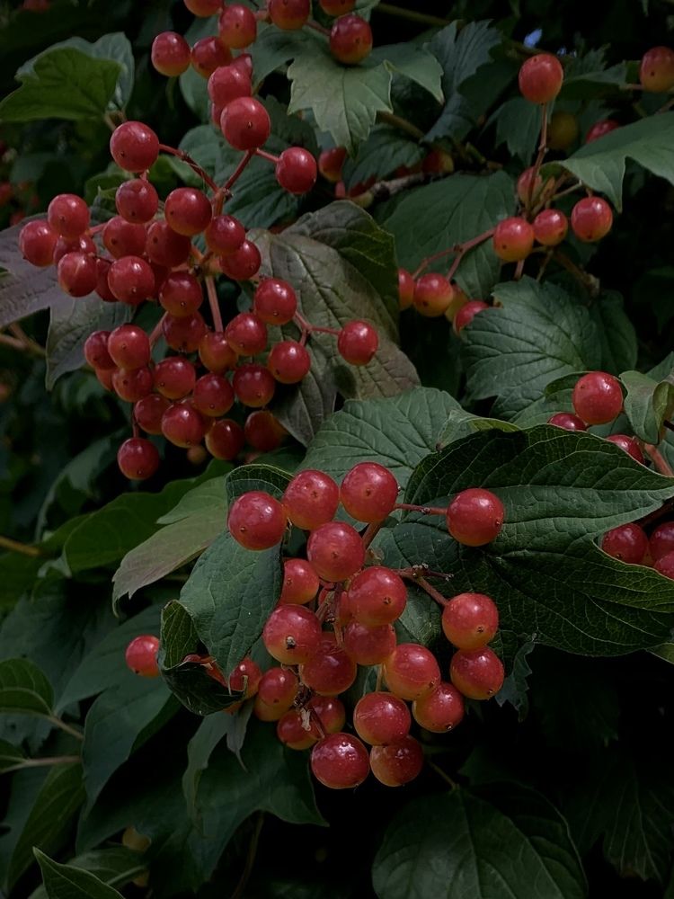 Photograph by Татьяна Семёнова