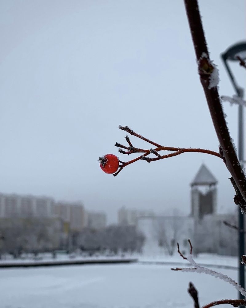 Photograph by Татьяна Семёнова