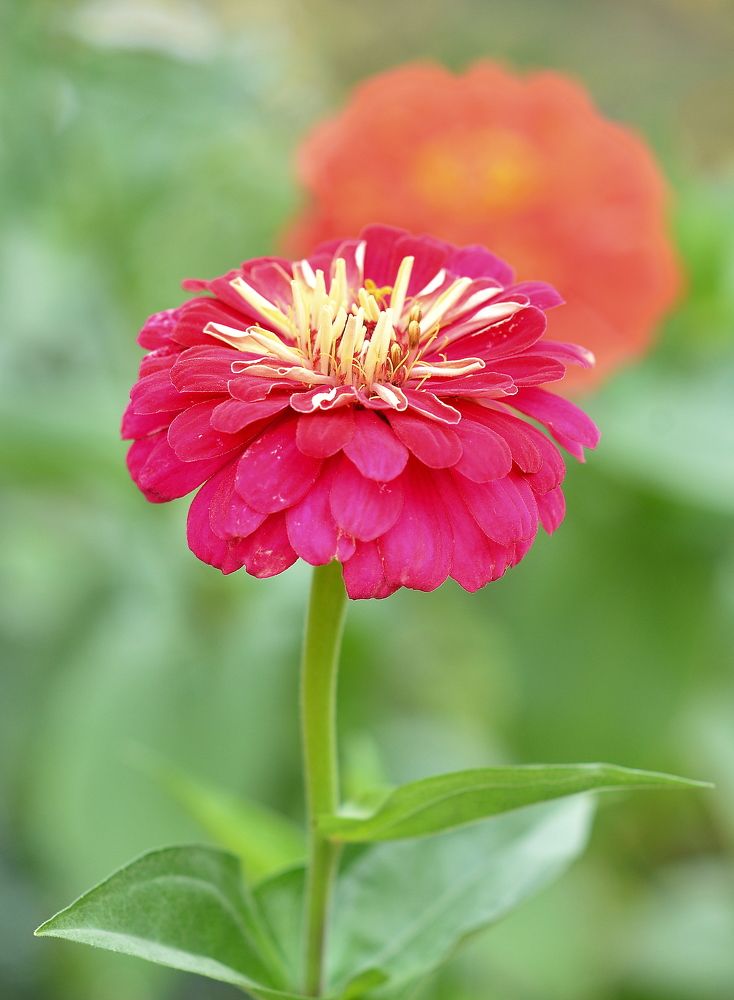 Фотография автора Алексей Volg