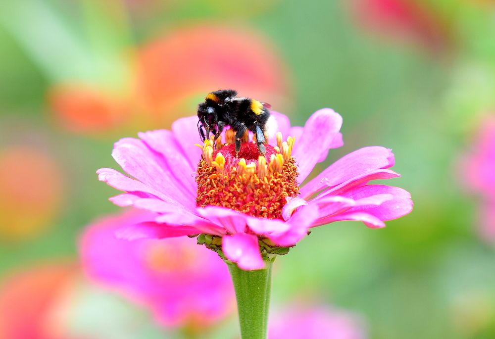 Photograph by Алексей Козлов