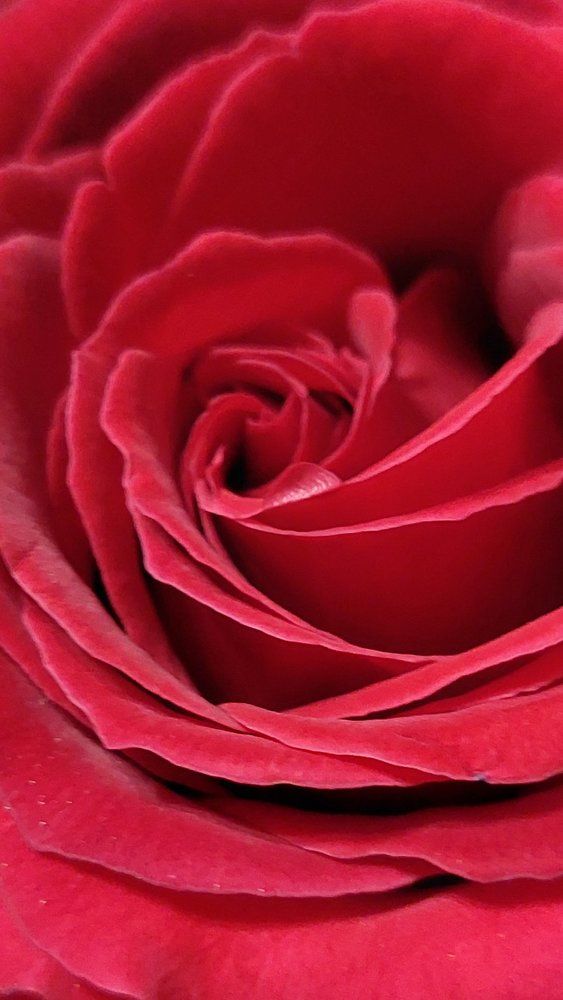 Photograph by Светлана Усатенко