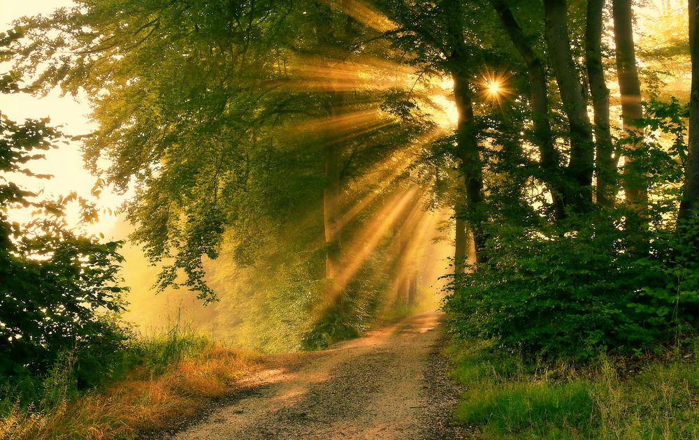 Photograph by Elena Wymann