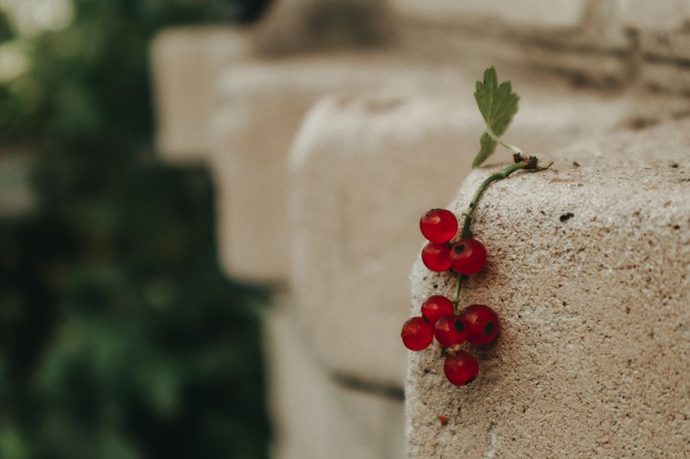 Photograph by Алия Аткельтирова