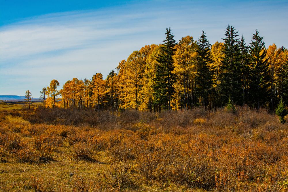 Фотография автора Сергей Козельский