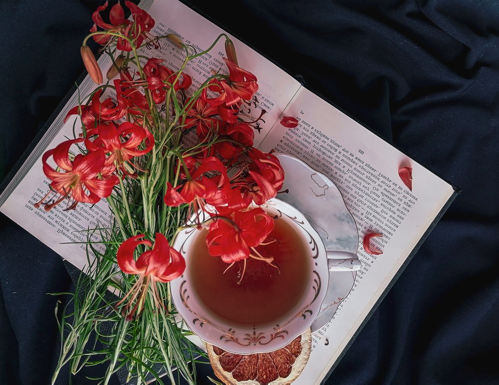 Photograph by Светлана Шелухеева