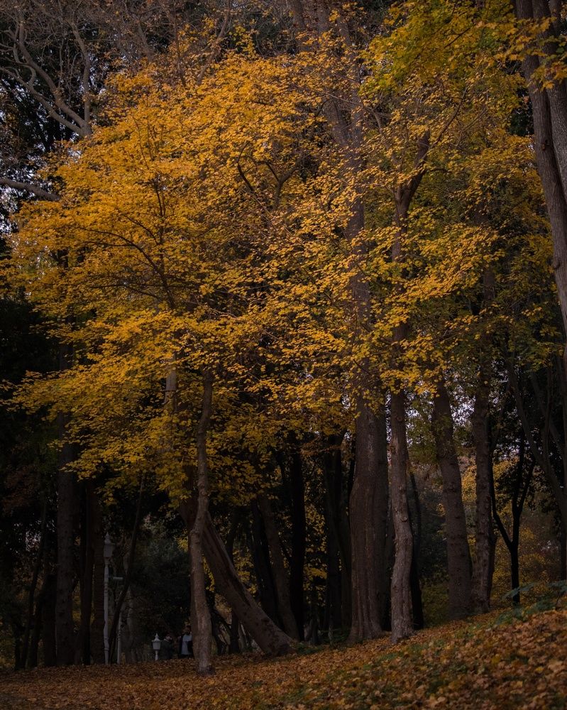 Photograph by Jad Kassem