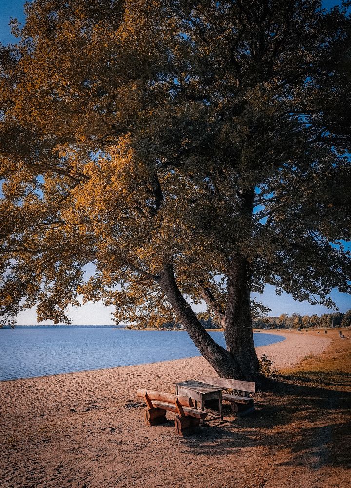 Photograph by Ирина Иванова