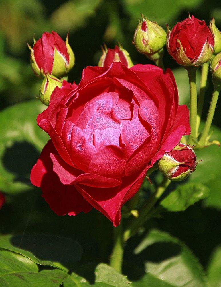 Photograph by Виталий Симоненков