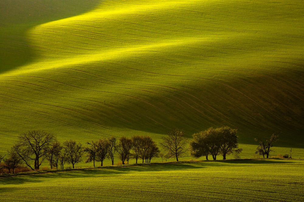 Photograph by Геннадий