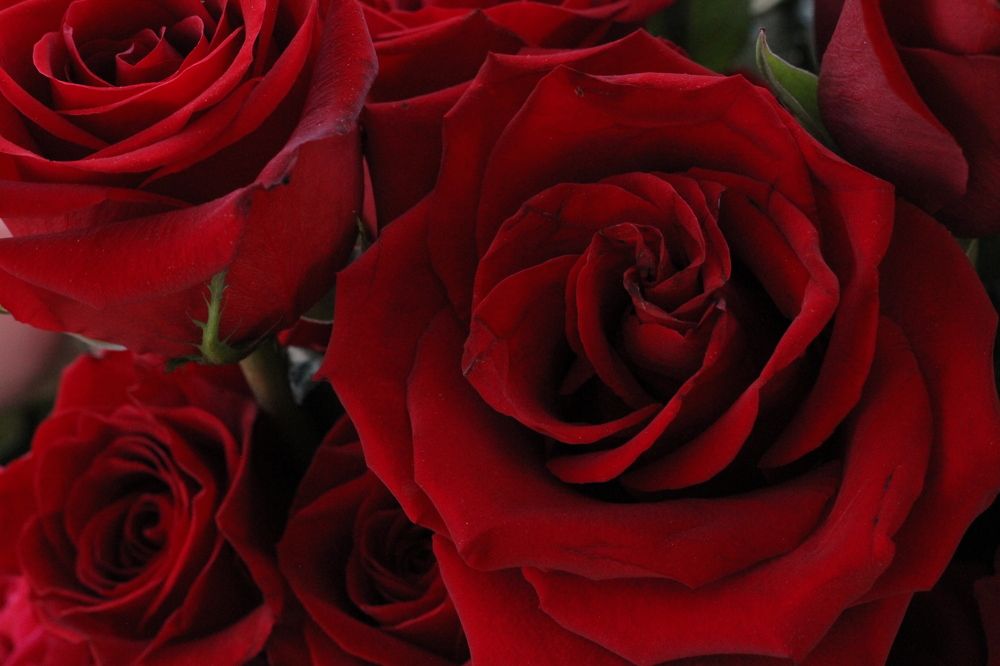 Photograph by Марина Савченко