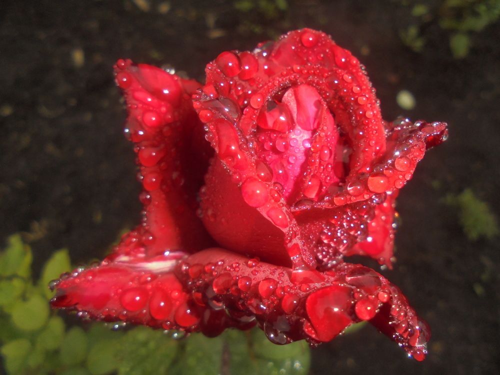 Наслаждение.