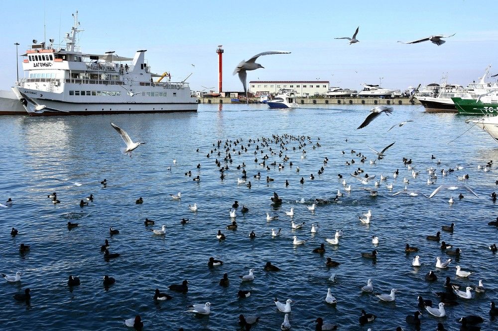 Фотография автора Рафаиль Садыков