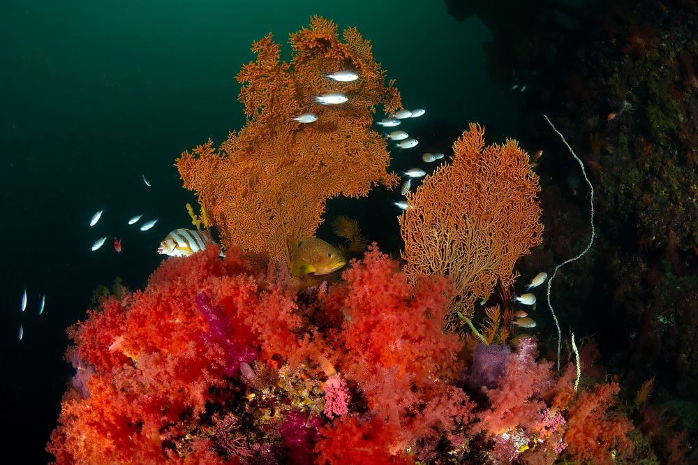 Photograph by HITOMI TSUCHIYA