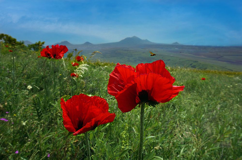 Photograph by Вадим Юрьевич