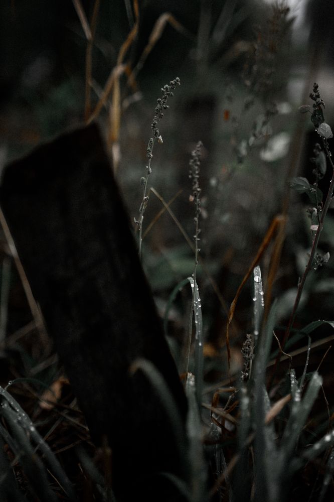 Photograph by Марина Подольская