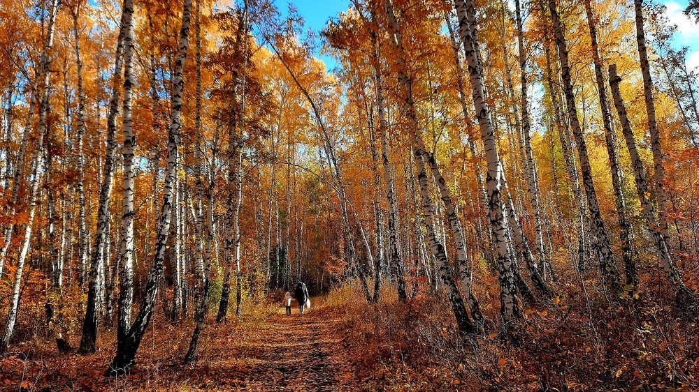 Photograph by Татьяна Котельникова