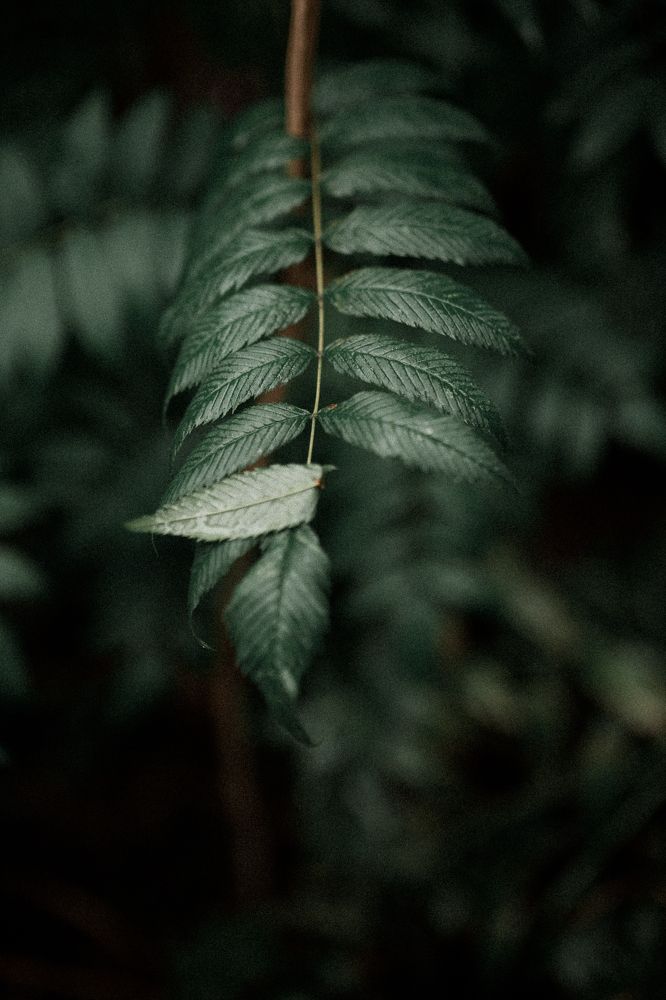 Photograph by Марина Подольская