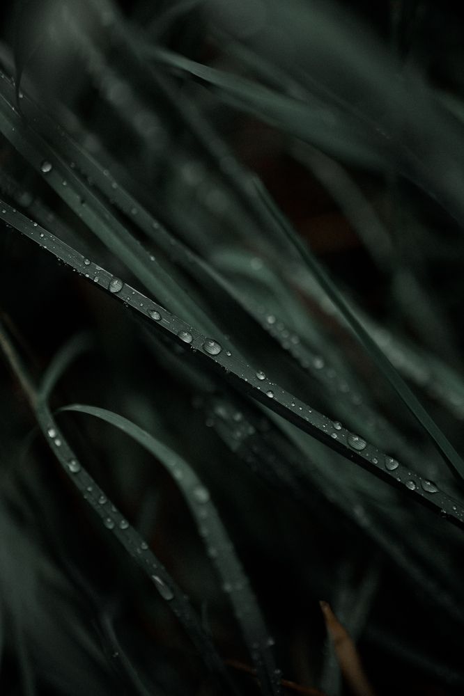 Photograph by Марина Подольская