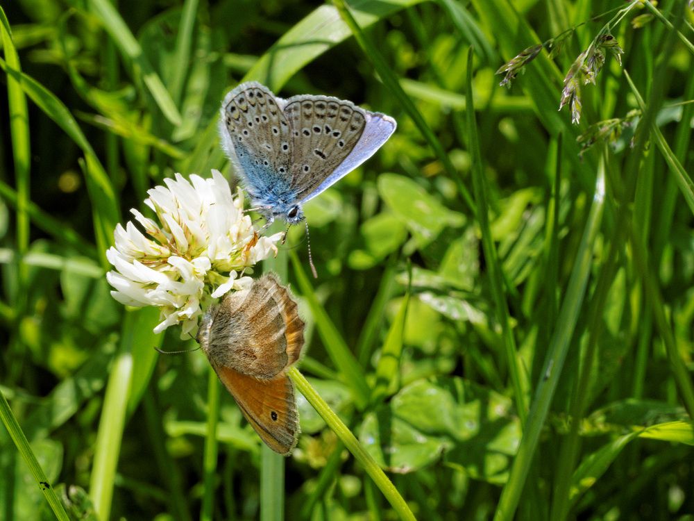 Фотография автора Павел Кулинич