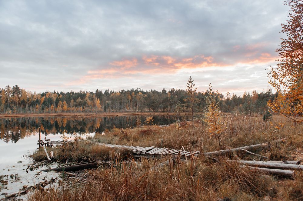 Photograph by Любовь Нефедова