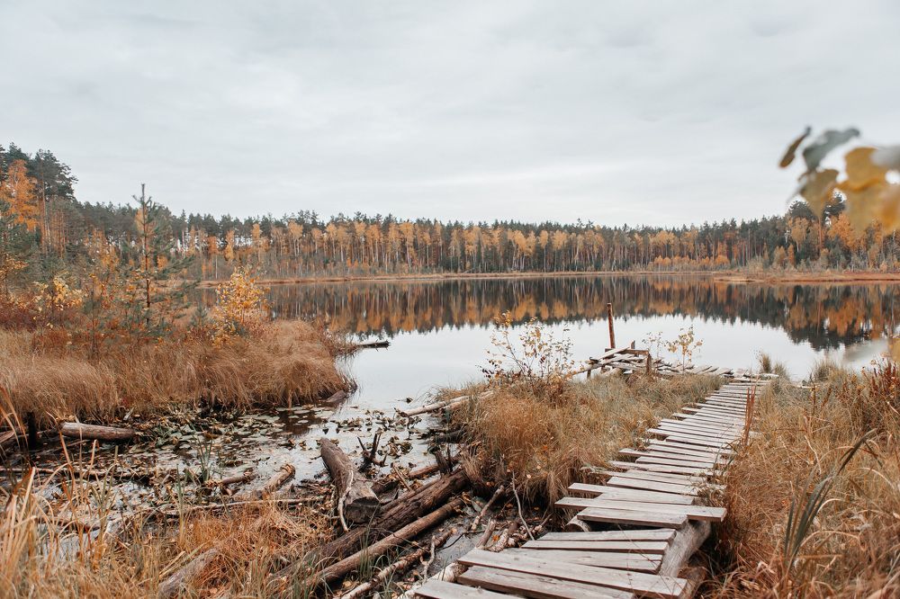 Photograph by Любовь Нефедова