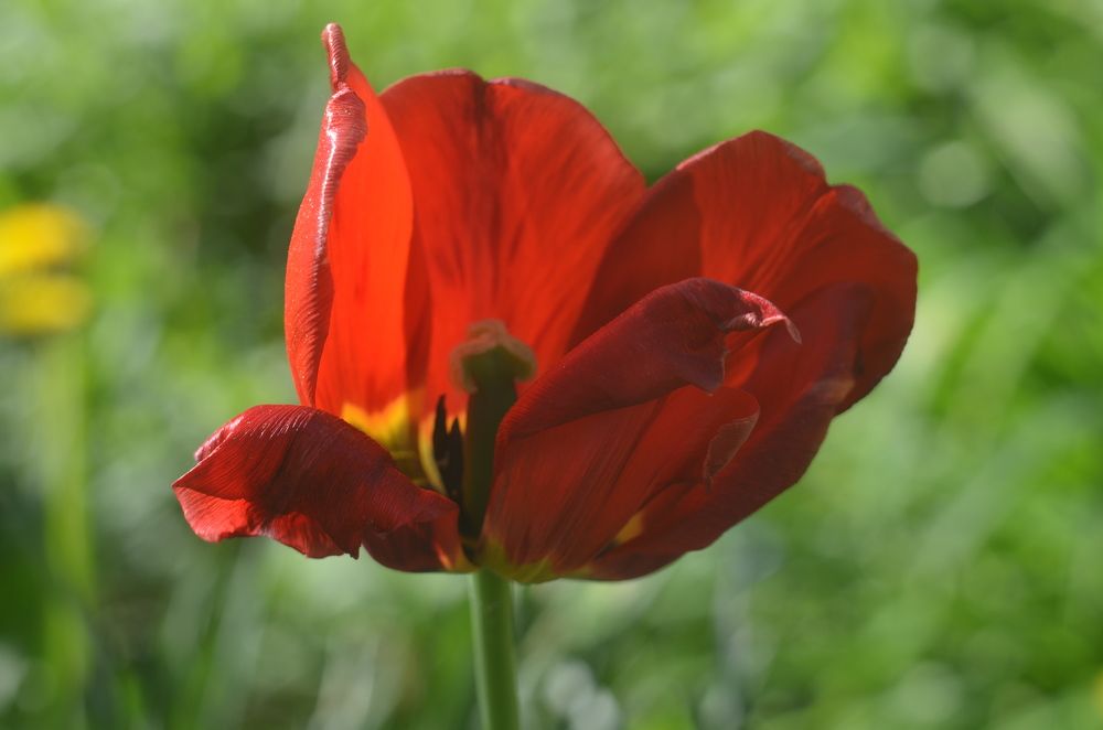 Photograph by Valentina