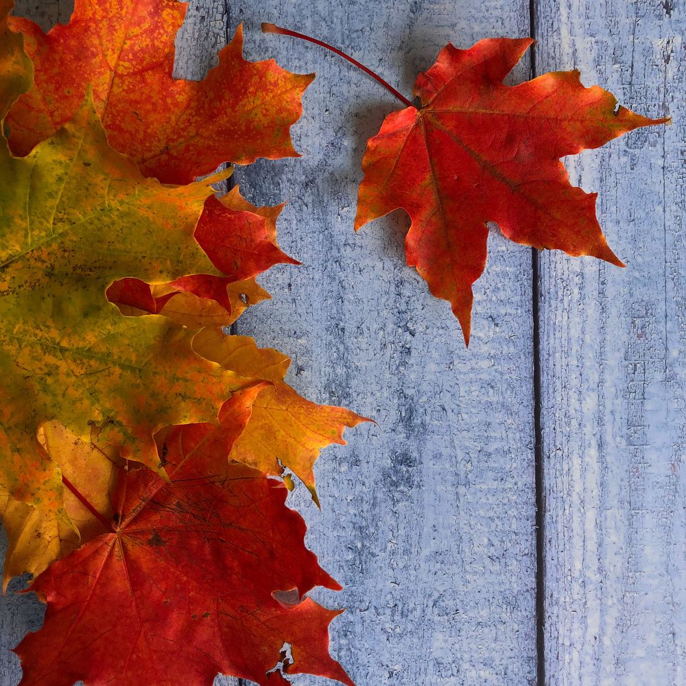 Photograph by Мария Королькова