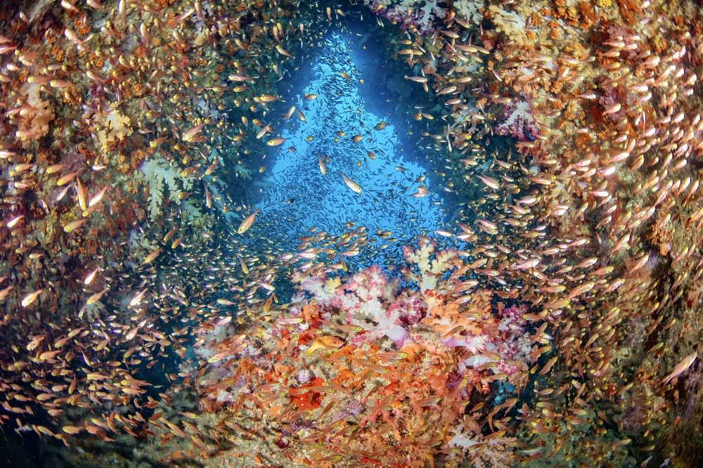 Photograph by HITOMI TSUCHIYA