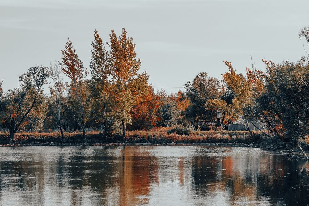 Photograph by Кузнецов Алексей