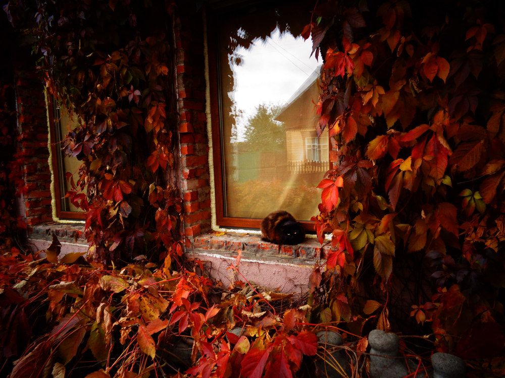 Photograph by Екатерина Щербина