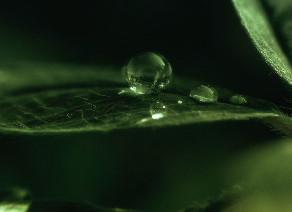 Photograph by Юлия Лушникова