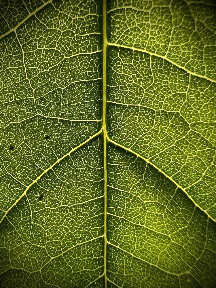 Photograph by Александр Пискарев