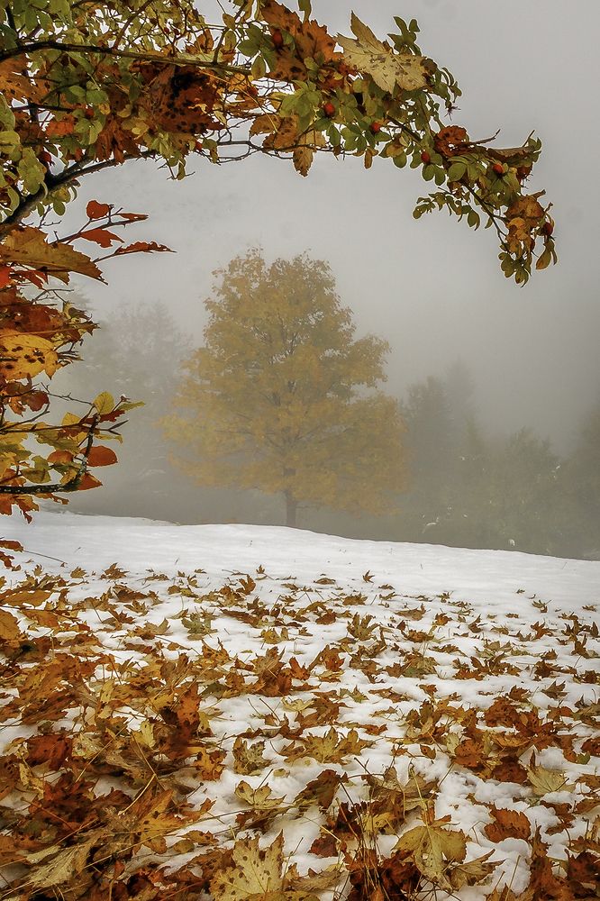 When the seasons meet