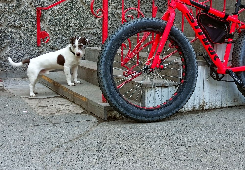 Photograph by Яна Нурмакина