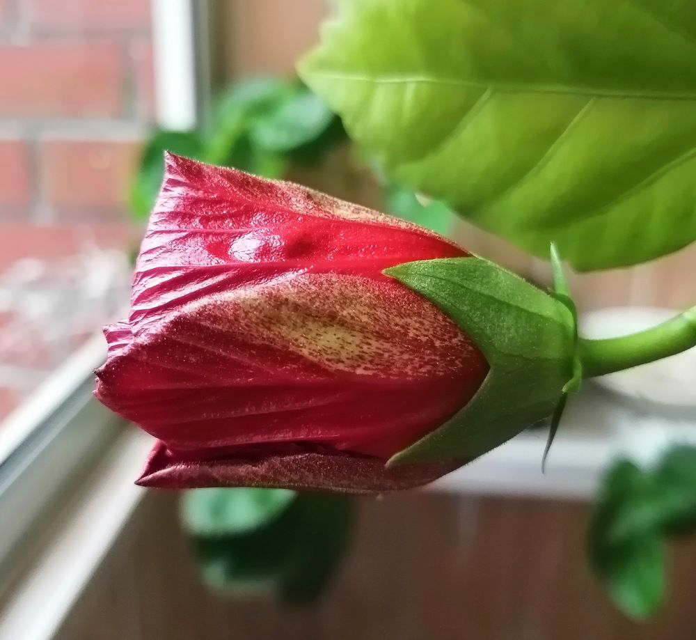 Photograph by Наталия