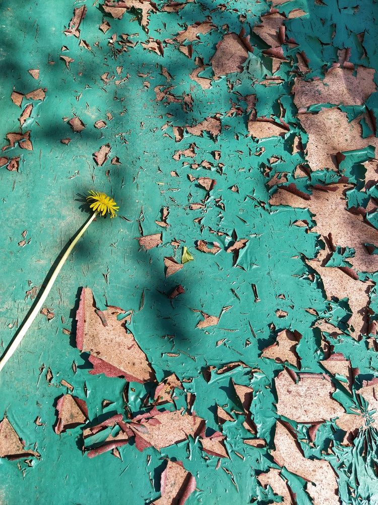 Photograph by Татьяна Мазок