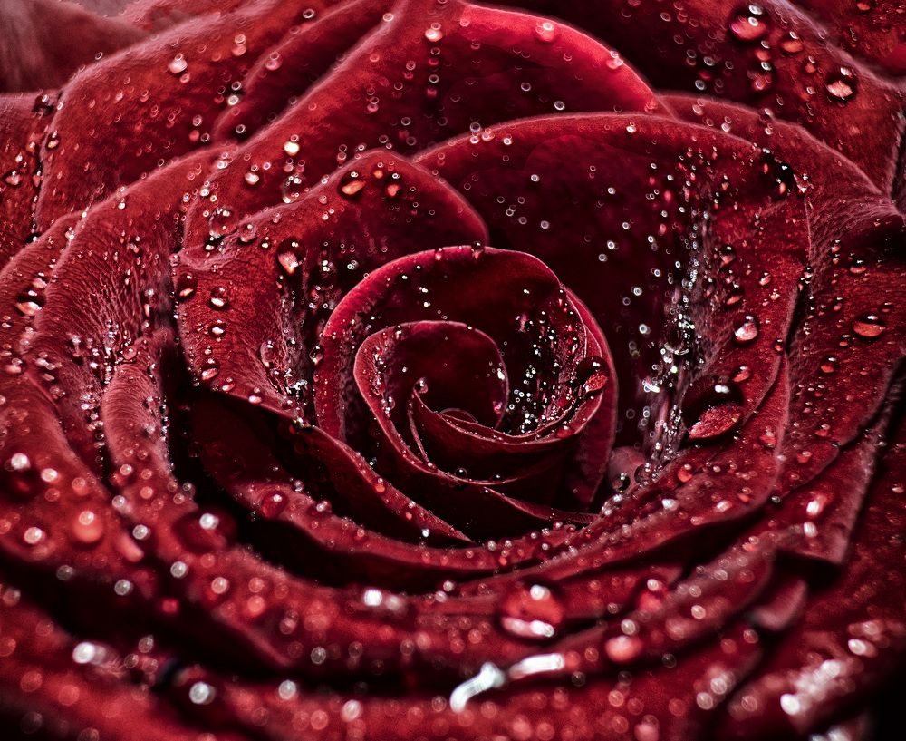 Photograph by Елена Вакумова