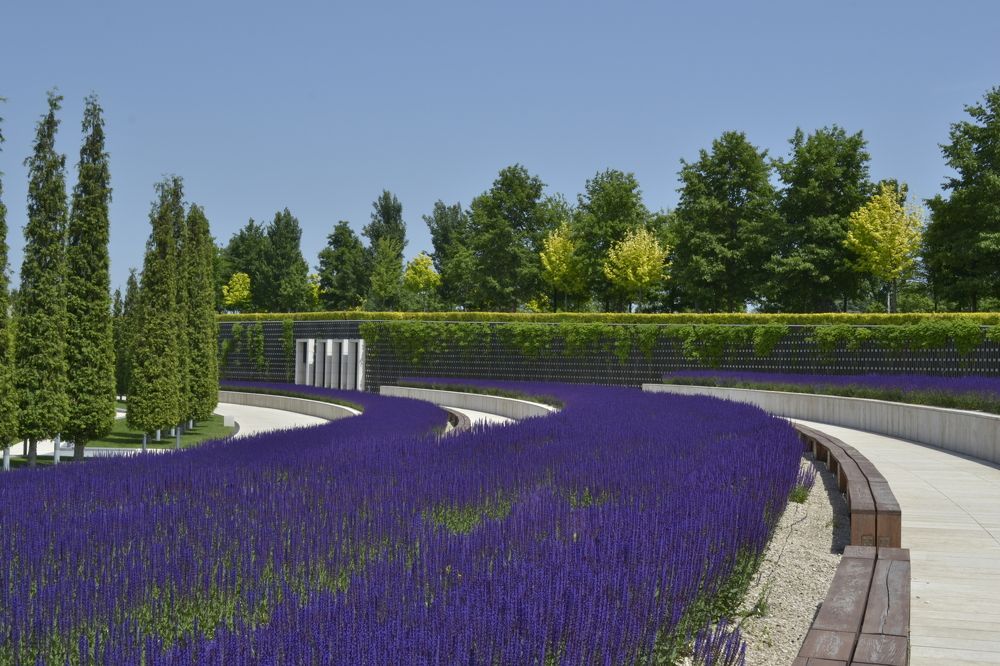 Photograph by Aleksey