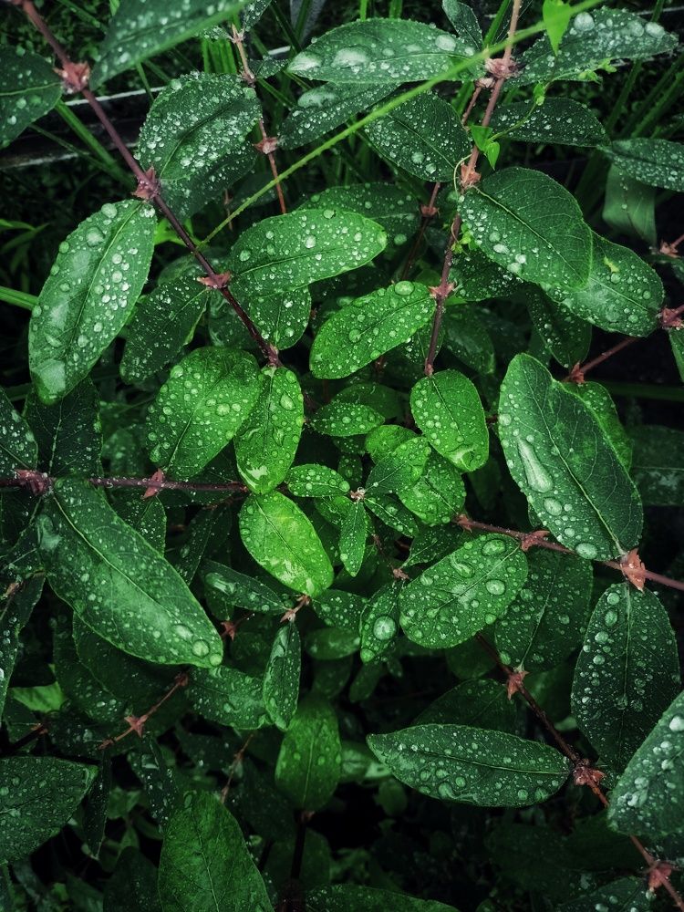 Photograph by Яна Нурмакина