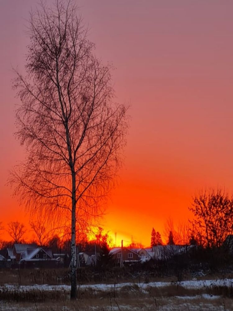 Photograph by Elena Lukashina