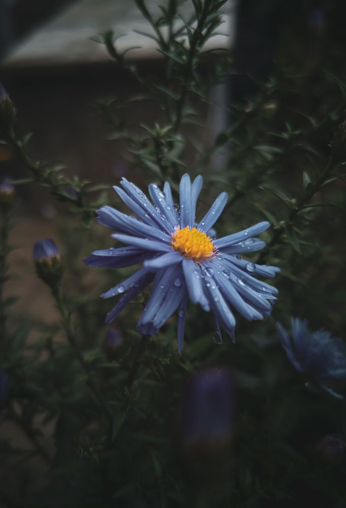 Фотография автора Геннадий Ломеко